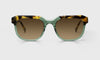 [17 - Green and Tortoise Front with Tortoise Temples]