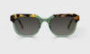 [17 - Green and Tortoise Front with Tortoise Temples]