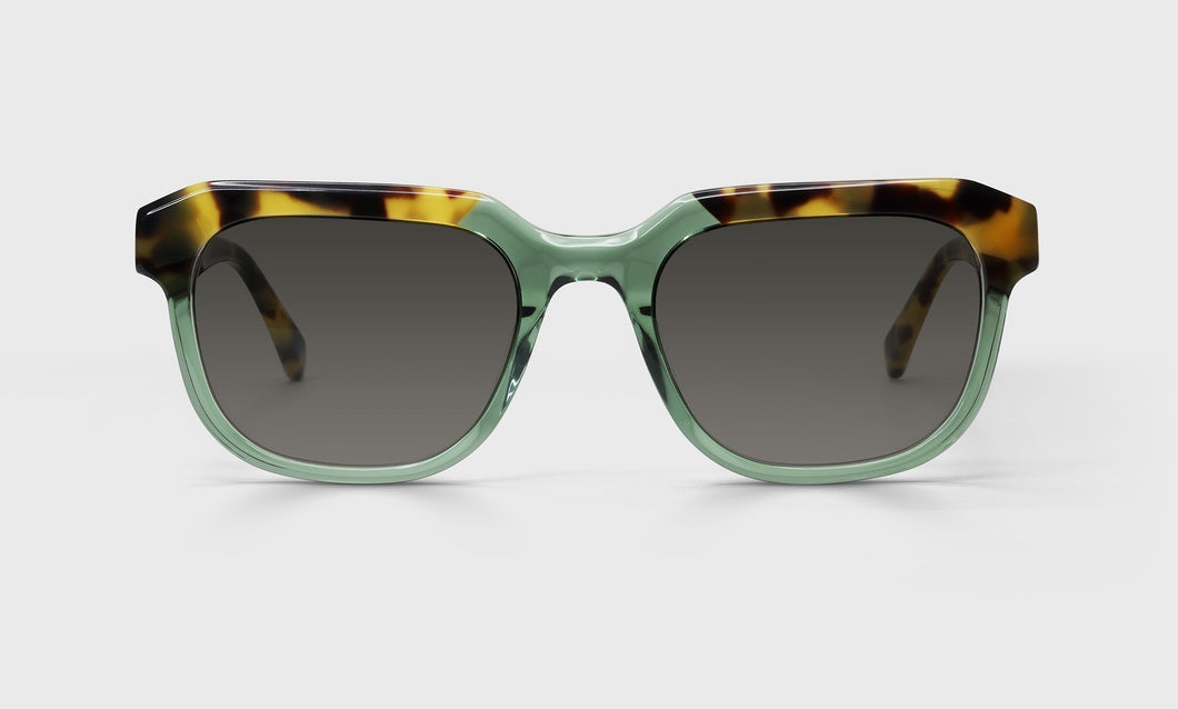 [17 - Green and Tortoise Front with Tortoise Temples]