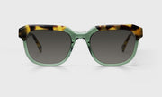 17 - Green and Tortoise Front with Tortoise Temples