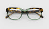 [17 - Green and Tortoise Front with Tortoise Temples]