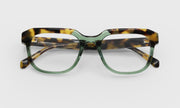 17 - Green and Tortoise Front with Tortoise Temples