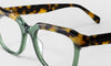 [17 - Green and Tortoise Front with Tortoise Temples]