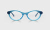 [59 - Teal Front and Temples]