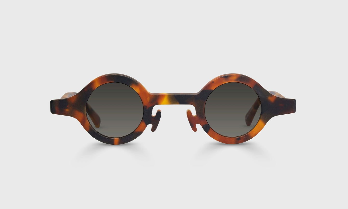 [19 - Matte Tortoise Front and Temples]