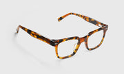 19 - Amber Tortoise Front and Temples