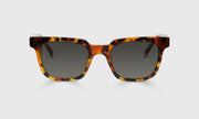 19 - Amber Tortoise Front and Temples