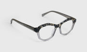 00 - Tortoise with Grey Crystal Front and Grey Temples