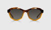 [77 - Amber Tortoise with Gold Front and Gold Temples]