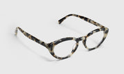 21 - Vanilla Tortoise Front and Temples