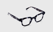 13 - Icy Blue Tortoise Front and Temples