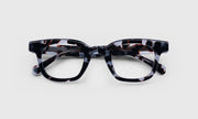 13 - Icy Blue Tortoise Front and Temples