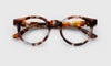 [18 - Soft Teal and Brown Tortoise Front and Temples]