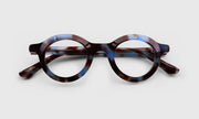 13 - Sky Blue Tortoise Front and Temples