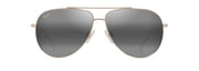 Neutral Grey Lenses, Shiny Light Gold With Crystal Frame