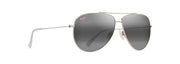 Neutral Grey Lenses, Shiny Light Gold With Crystal Frame