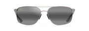 Neutral Grey Lenses, Silver Frame