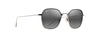 [Neutral Grey Lenses, Titanium Frame]