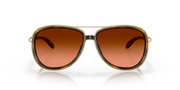 Brown Tortoise - Prizm Brown Gradient Lens