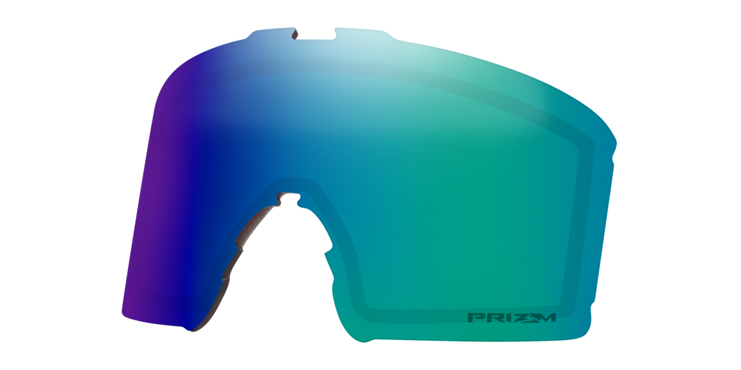 [Prizm Snow Argon Iridium Lenses]