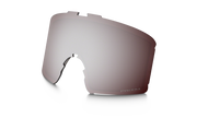 Prizm Snow Black Iridium Lenses