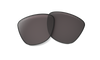 [Prizm Grey Lenses]