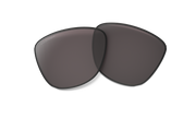 Prizm Grey Lenses