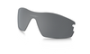 [Black Iridium Polarized Lenses]