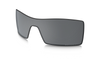 [Black Iridium Polarized Lenses]