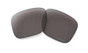 Prizm Grey Polarized Lenses