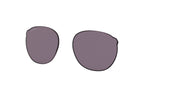 Prizm Grey Lenses