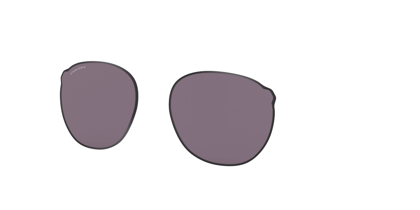[Prizm Grey Lenses]