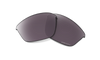 [Prizm Daily Polarized Lenses]