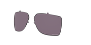 Prizm Grey Lenses