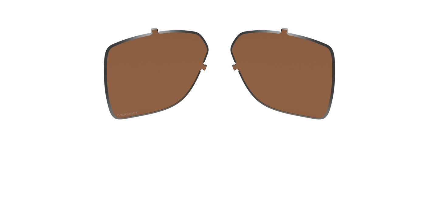 [Prizm Tungsten Polarized Lenses]