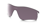 Prizm Daily Polarized Lenses