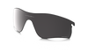 [Prizm Black Polarized Lenses]