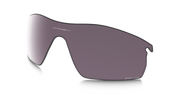 Prizm Daily Polarized Lenses