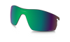 [Prizm Shallow Water Polarized Lenses]