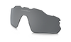 [Black Iridium Polarized Lenses]