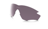 [Prizm Daily Polarized Lenses]