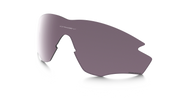 Prizm Daily Polarized Lenses