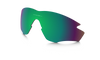 [Prizm Shallow Water Polarized Lenses]