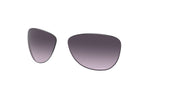 Prizm Grey Gradient Lenses