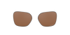 [Prizm Tungsten Polarized Lenses]