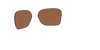 [Prizm Tungsten Polarized Lenses]