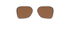 [Prizm Tungsten Polarized Lenses]