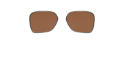 Prizm Tungsten Polarized Lenses