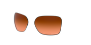 Prizm Brown Gradient Lenses