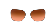 Prizm Brown Gradient Lenses